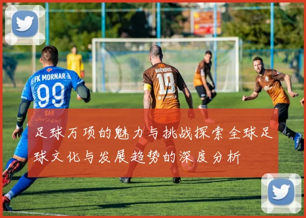 足球万项的魅力与挑战探索全球足球文化与发展趋势的深度分析